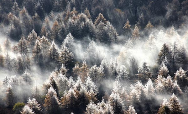 河北白石山旅游攻略