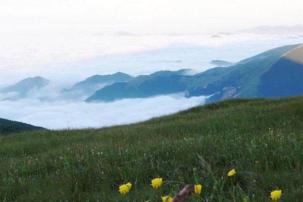 河北黑龙山国家森林公园旅游攻略