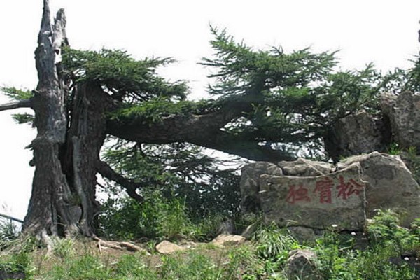 河北雾灵山自然保护区旅游攻略