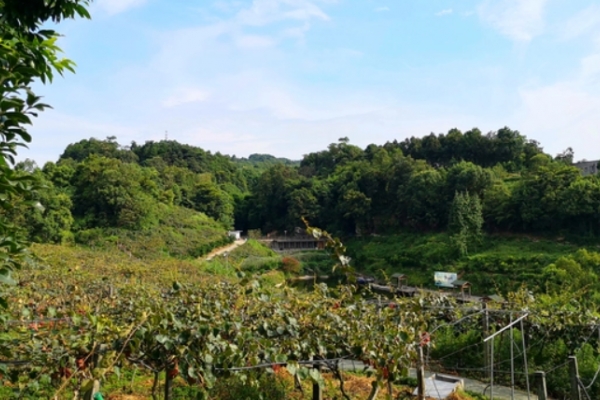 云篆山图片