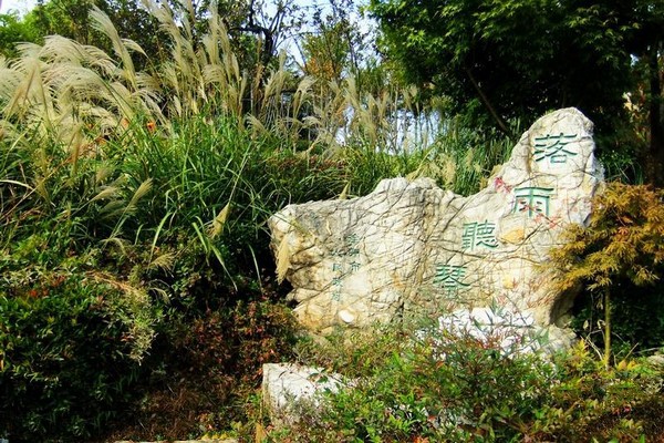 泰州天德湖公园旅游攻略