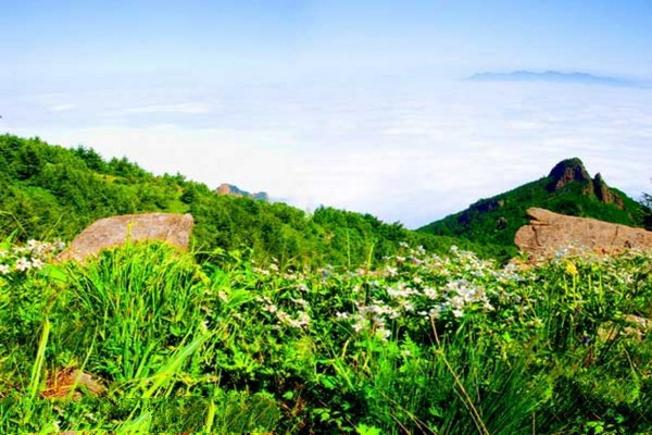 河北雾灵山自然保护区旅游攻略