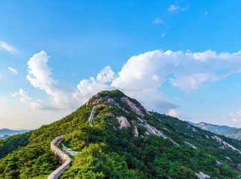 九龙山