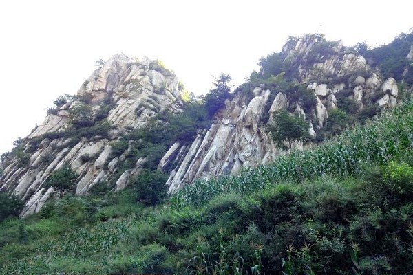 河北兴隆花市村旅游攻略