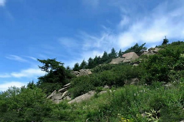 河北雾灵山自然保护区旅游攻略