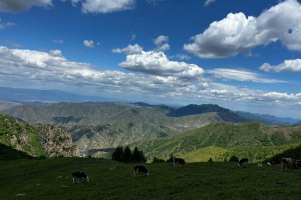 东灵山图片