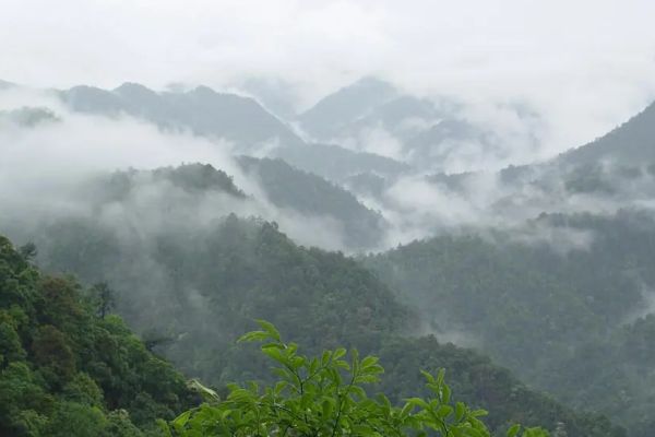 三百山图片