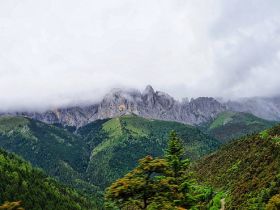 中甸大雪山