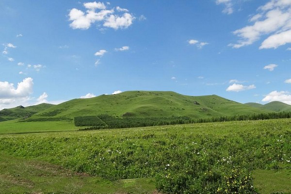 河北黑龙山国家森林公园旅游攻略