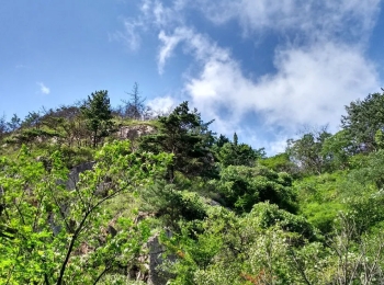 三标山
