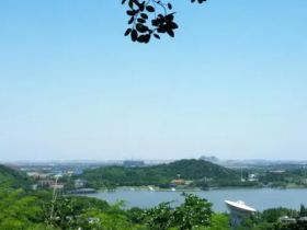东佘山