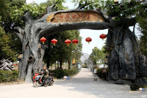 泰兴中华红枫园旅游攻略