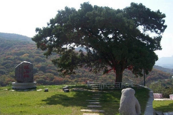 泽州珏山旅游攻略