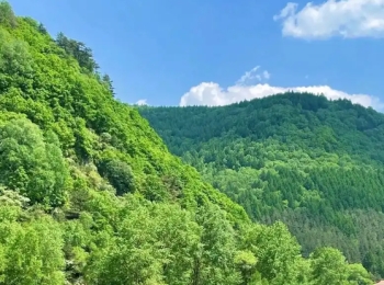 七里峪