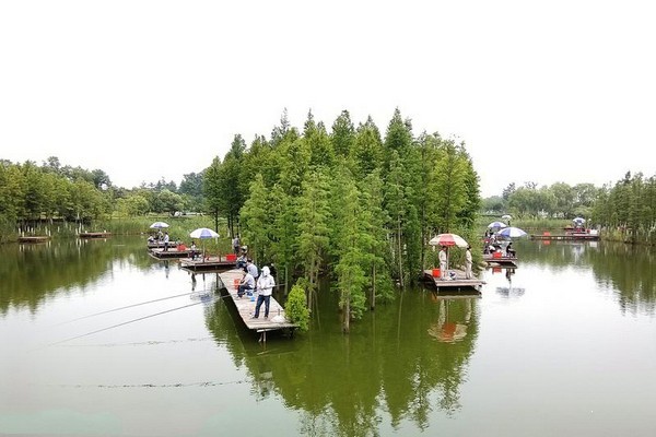 泰州天德湖公园旅游攻略