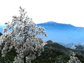 九仙山
