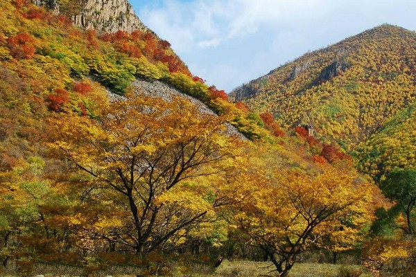 河北黑龙山国家森林公园旅游攻略