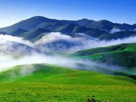 会泽大海草山
