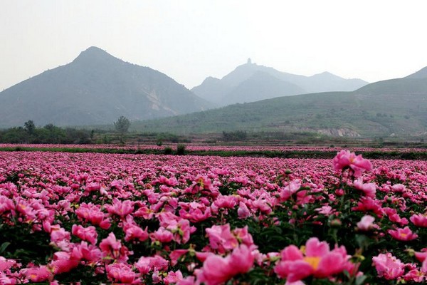 滦县青龙山景区旅游攻略
