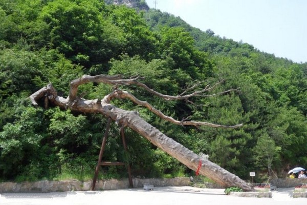 盂县藏山风景区旅游攻略