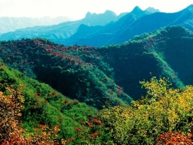 仙台山