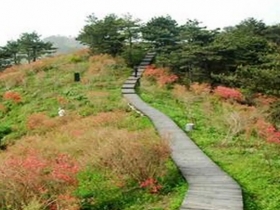 五脑山