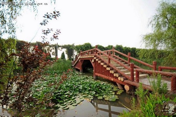 淮安金湖荷花荡景区旅游攻略