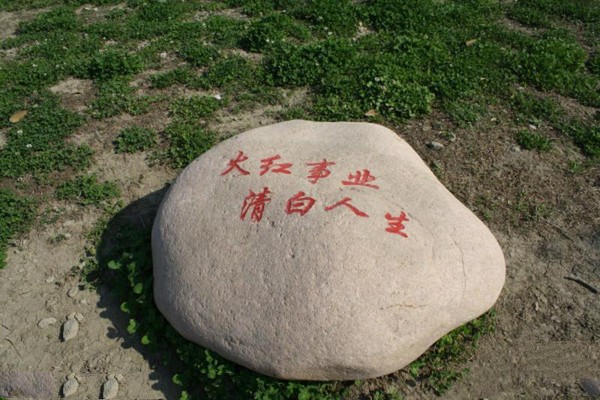 白天鹅公园旅游攻略