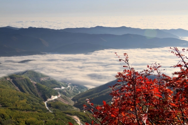 六盘山图片