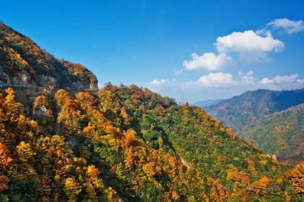 光雾山图片