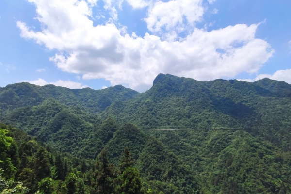 偏头山图片