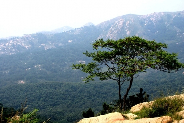 凤仙山图片
