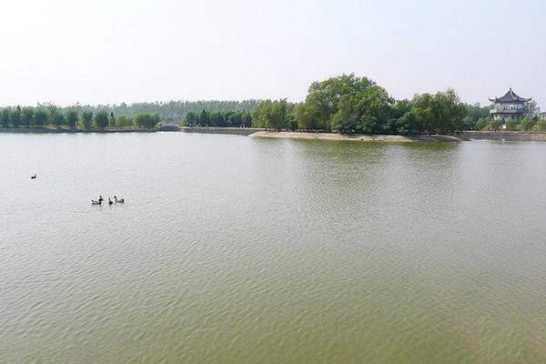 盐城丹顶鹤湿地生态旅游区旅游攻略