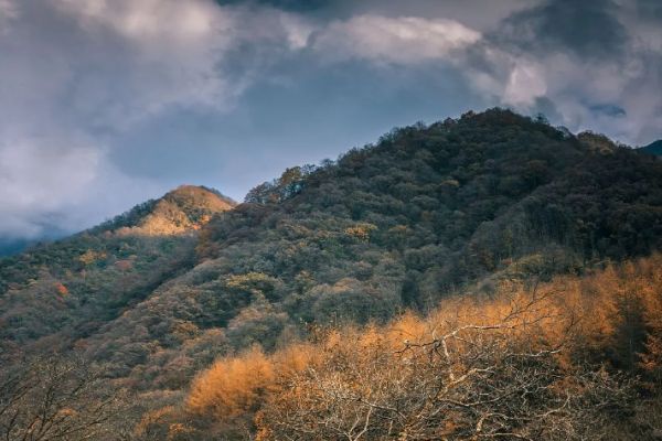 光雾山图片