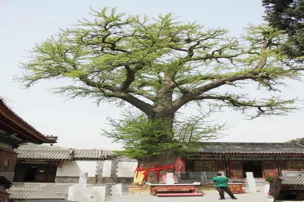 滦县青龙山景区旅游攻略