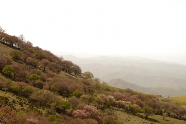 冠云山图片