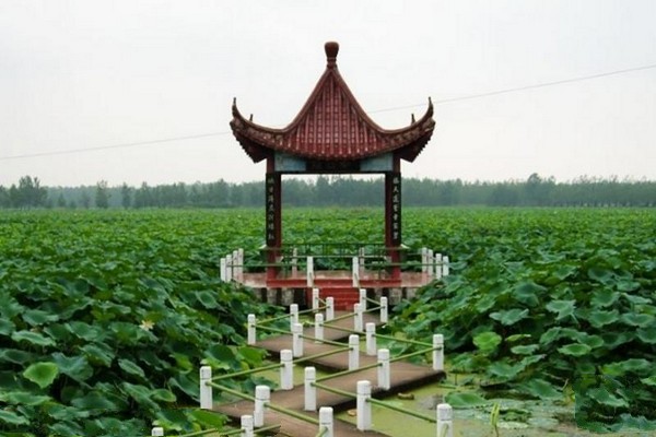 淮安金湖荷花荡景区旅游攻略