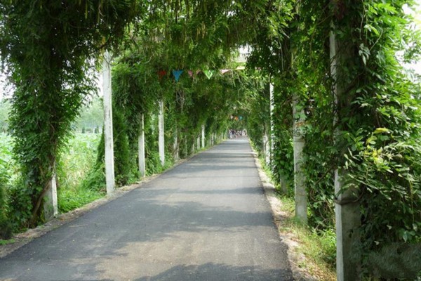 淮安金湖荷花荡景区旅游攻略