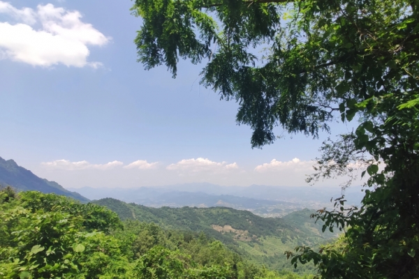 偏头山图片