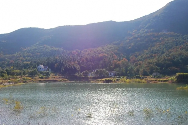 仙姑山图片