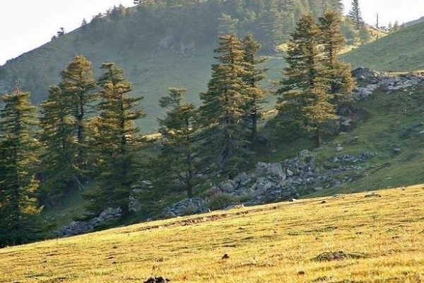 关帝山图片