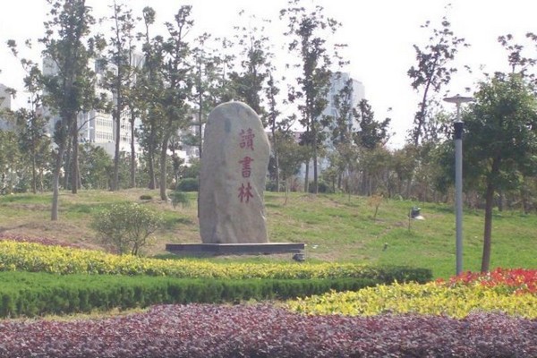 白天鹅公园旅游攻略