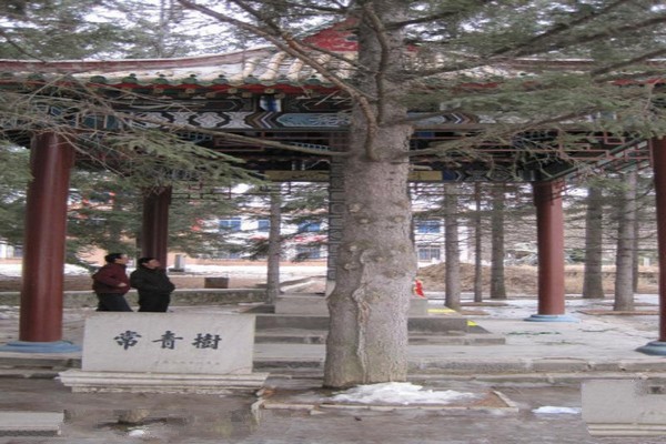 白山杨靖宇将军殉国地旅游攻略