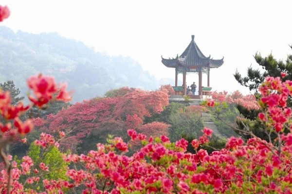 伏龙山图片