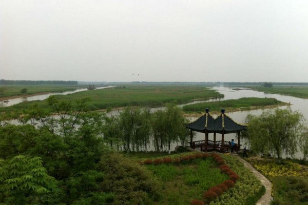 盐城建湖九龙口风景名胜区旅游攻略