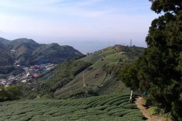 五连峰图片