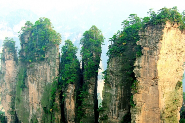 五指山图片