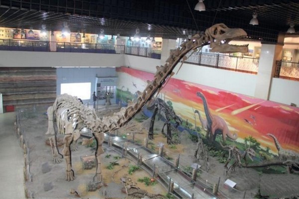 石家庄经济学院地球科学博物馆旅游攻略