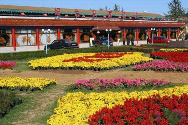 秦皇岛集发农业观光园旅游攻略