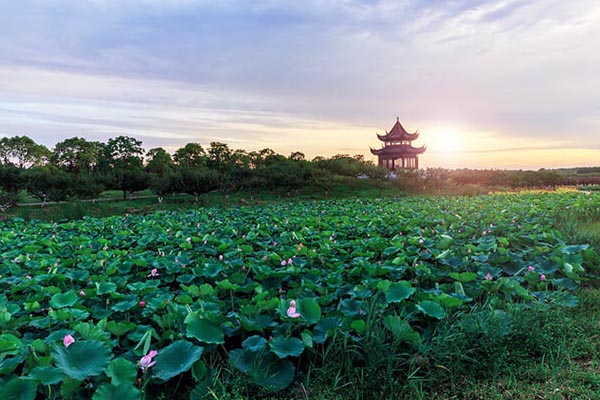 碧海金沙景区旅游攻略